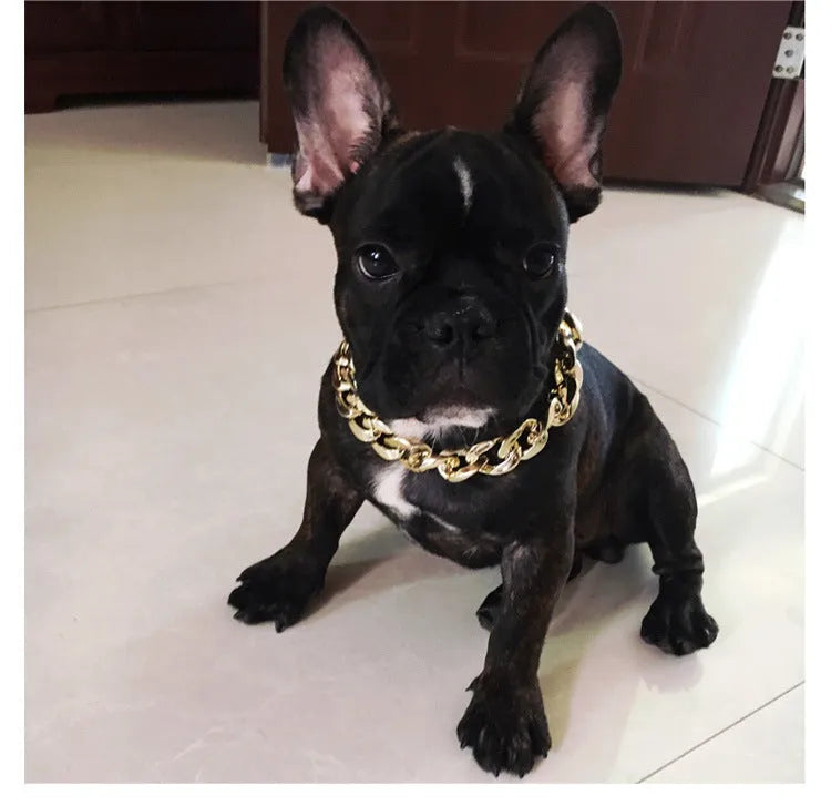 Adjustable geometric chain dog collar in gold or white for small to medium dogs.
