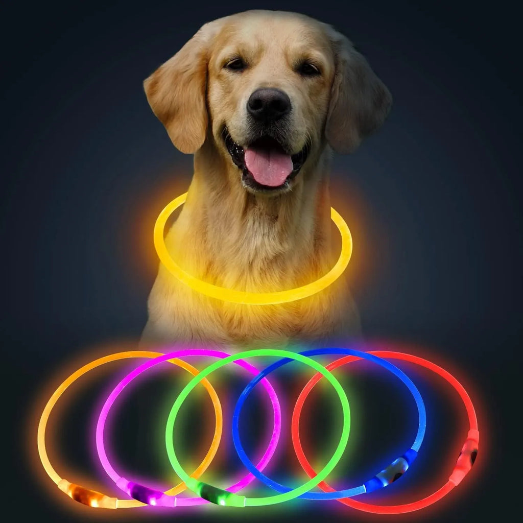 Blue USB rechargeable LED dog collar glowing with 360-degree visibility for nighttime pet safety