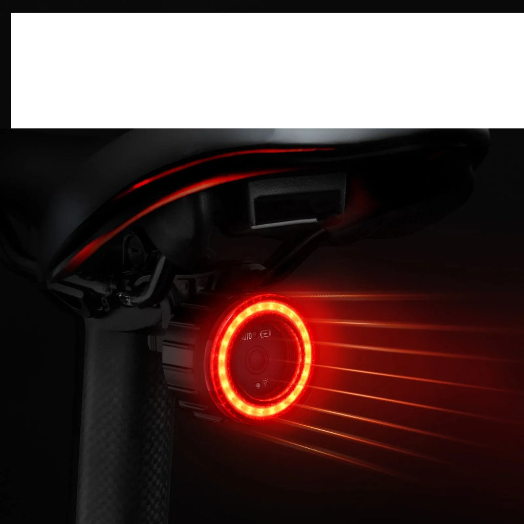 Black intelligent induction bicycle brake taillight with cushion and seat tube mounting brackets