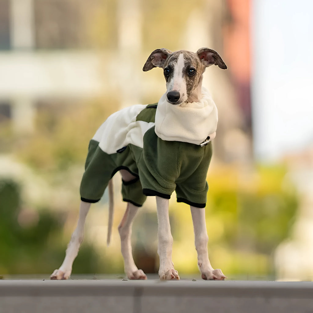 Pet warm collar detachable windproof four-leg clothes in polar fleece Argy Wormwood Green colour