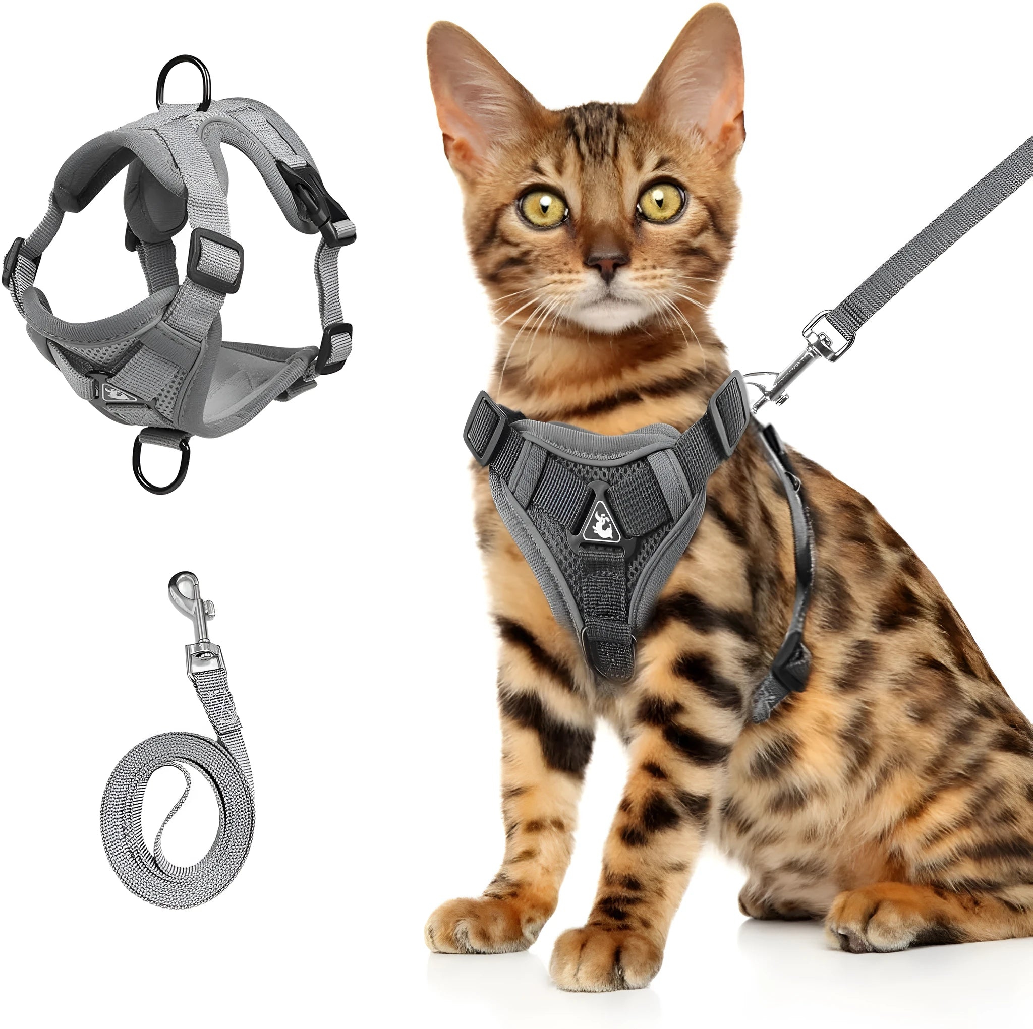 Blue breathable mesh cat chest harness with reflective stitching and leash, on a cat outdoors