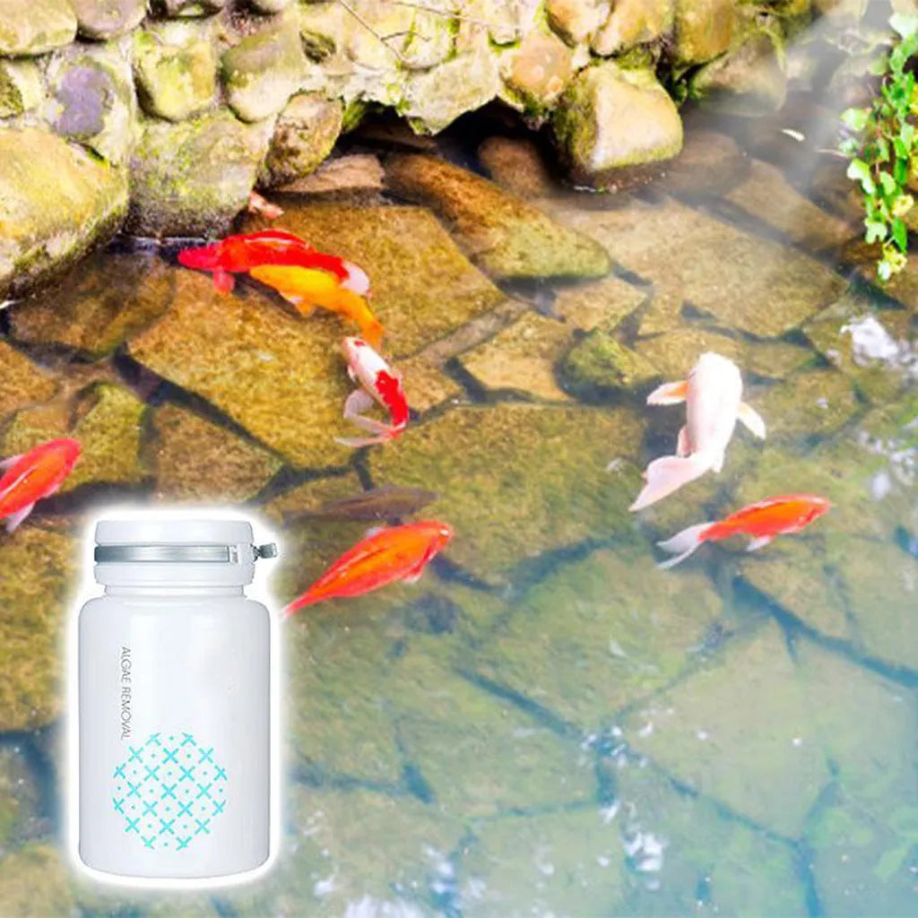 50g algaecide bottle for swimming pool and aquarium algae control treatment