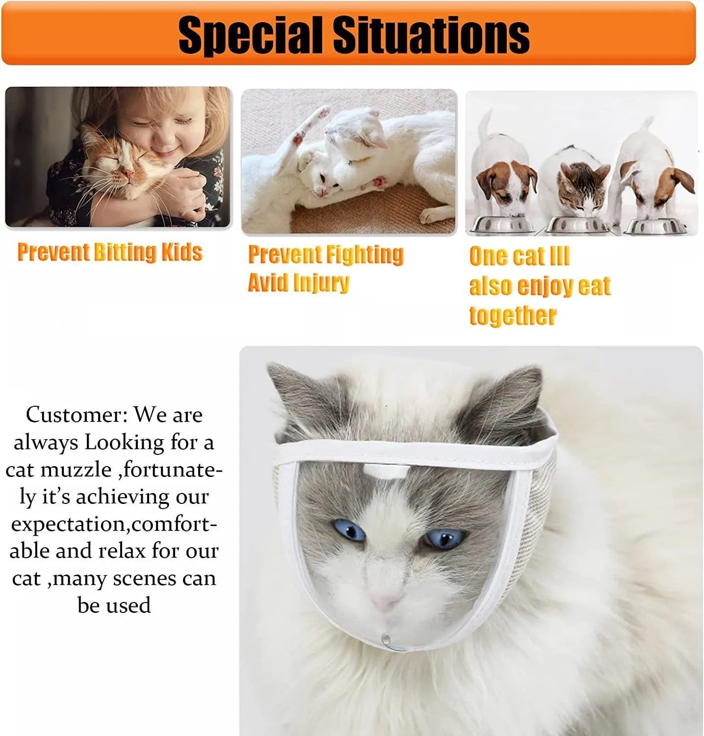 Clear PVC anti bite cat muzzle with cotton lining on cat