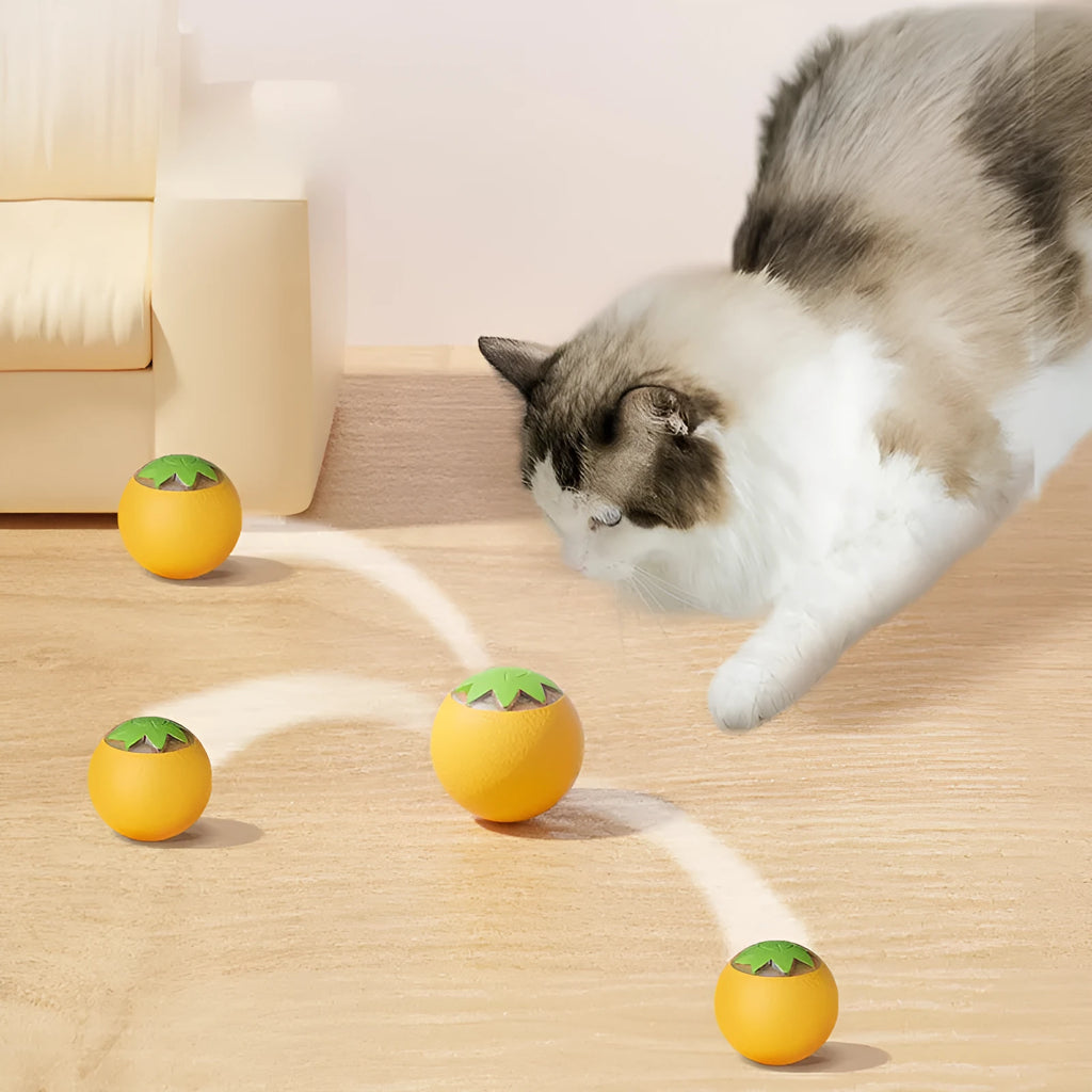 Automatic rolling ball toy for dogs and cats in green colour on floor