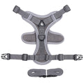 Blue breathable mesh cat chest harness with reflective stitching and leash, on a cat outdoors