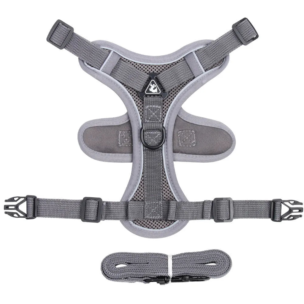 Blue breathable mesh cat chest harness with reflective stitching and leash, on a cat outdoors