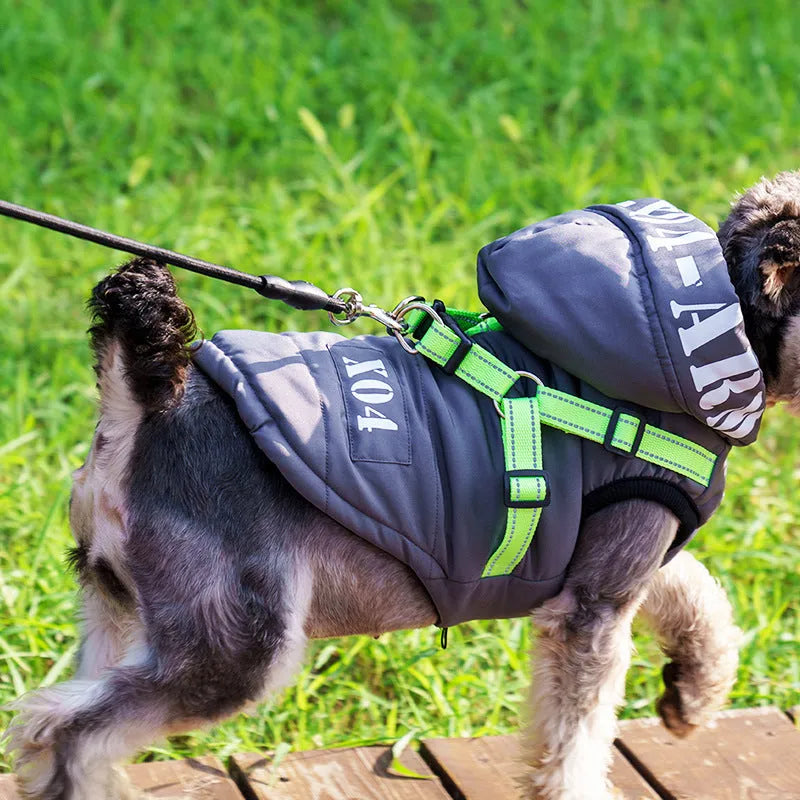Red waterproof fleece-lined dog jacket with hood for winter wear on a small dog