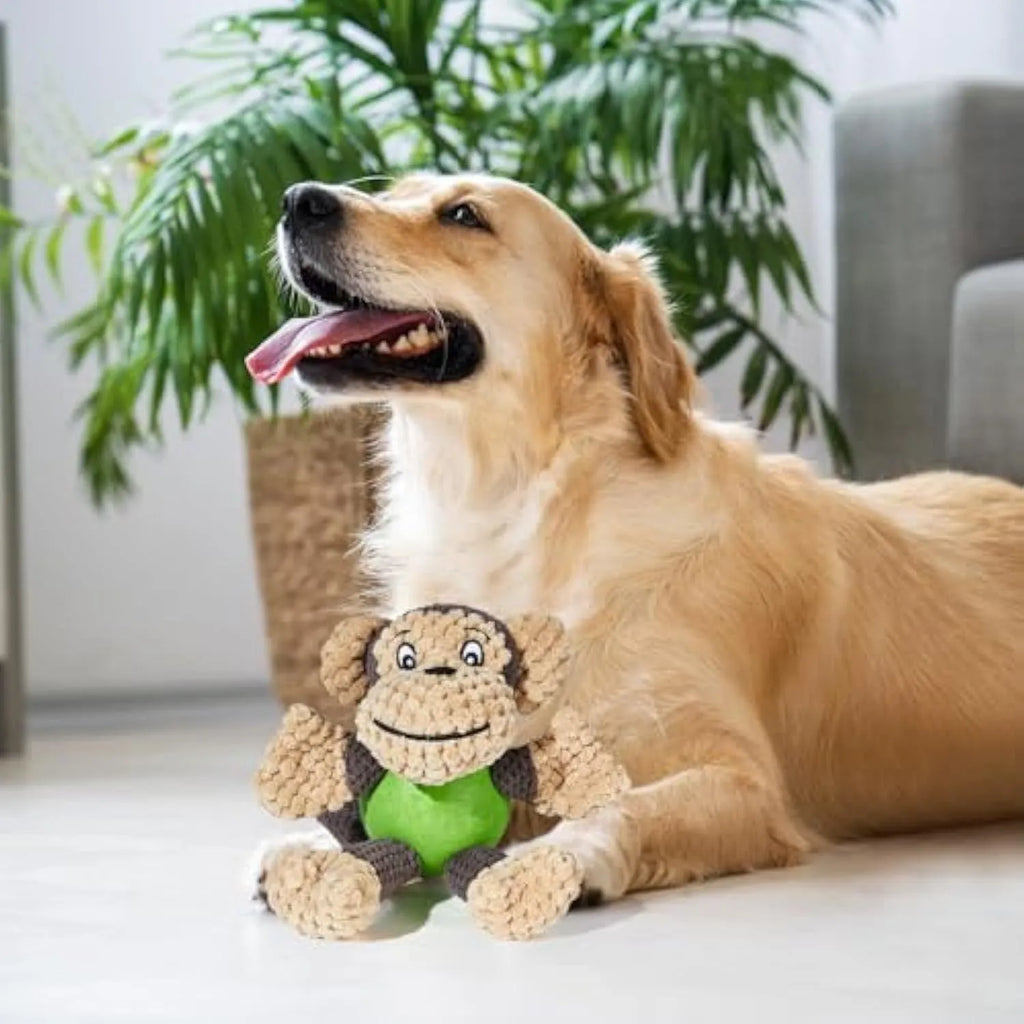 Cute squeaky monkey plush dog toy with soft fabric, designed for small and medium dogs
