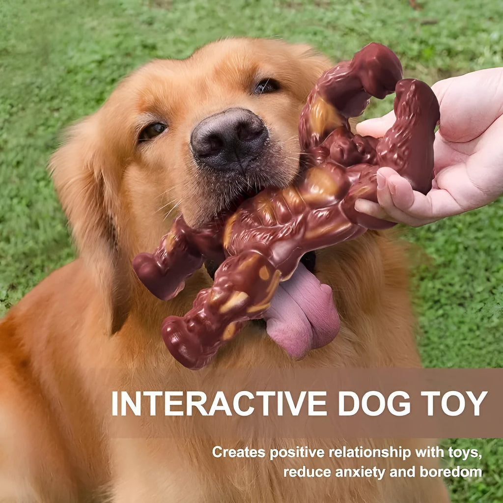 Scarlet nylon dog chew toy with beef flavour for molar cleaning and anxiety relief