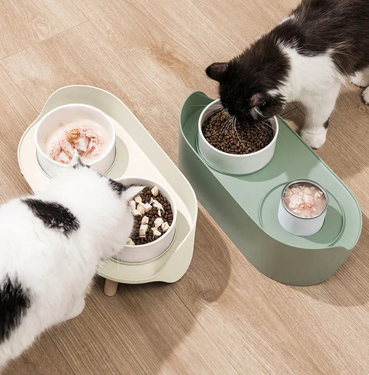 Tilted double bowl pet feeder in green with separate compartments for food and water