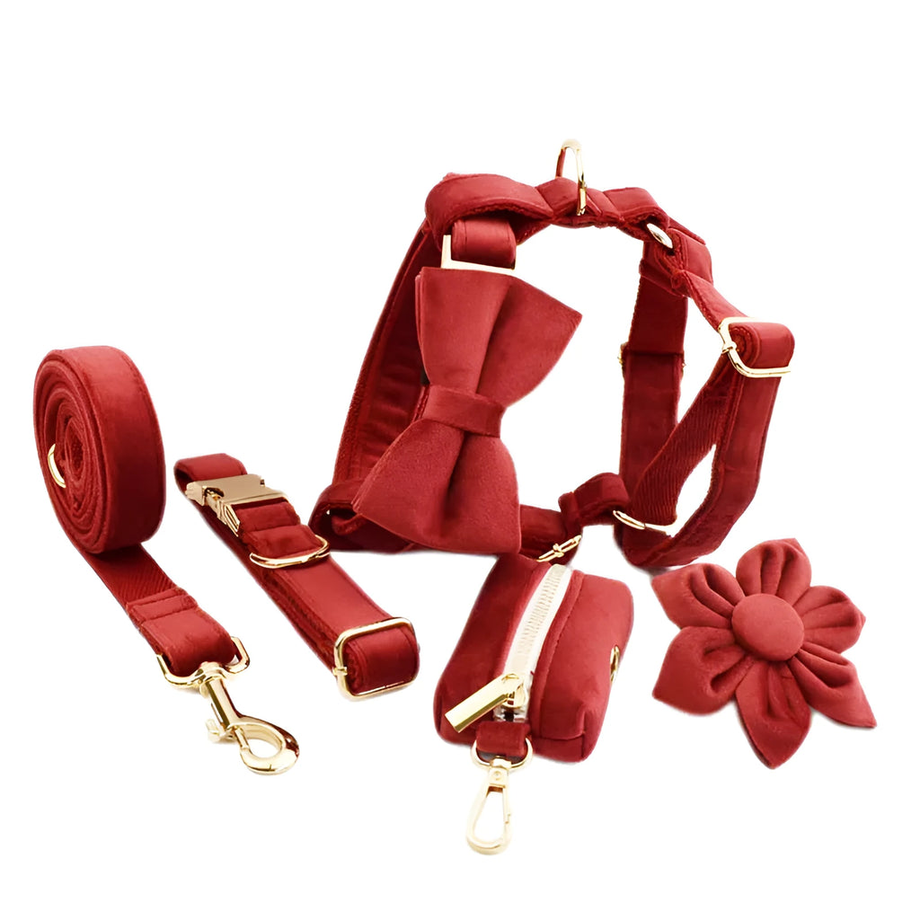Dog collar set with leash, bow, vest, and poop bag on cloth material, five-piece option