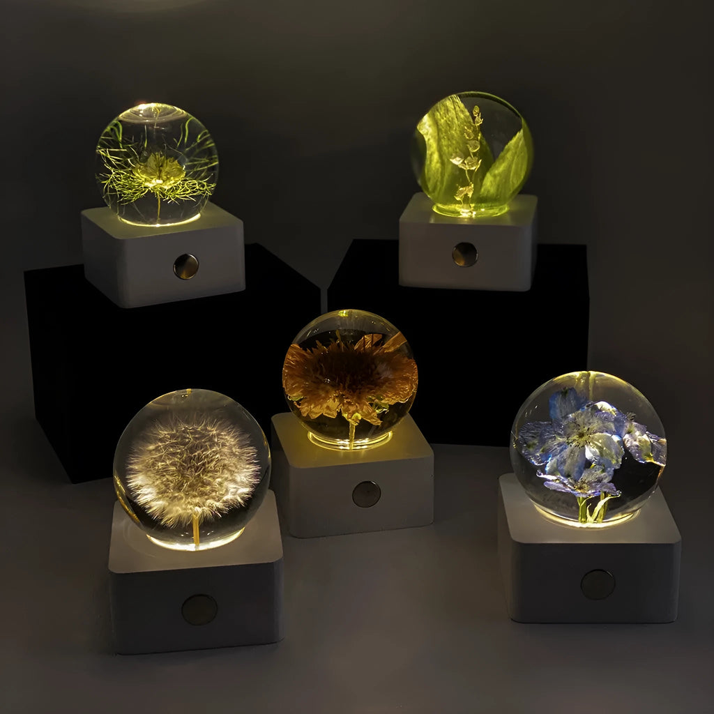Dandelion and sunflower specimen 8cm USB night light on a desk