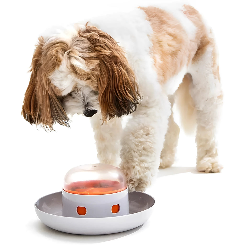 Dog press leakage food feeder automatic pet feeder plastic 20 cm for dogs and cats