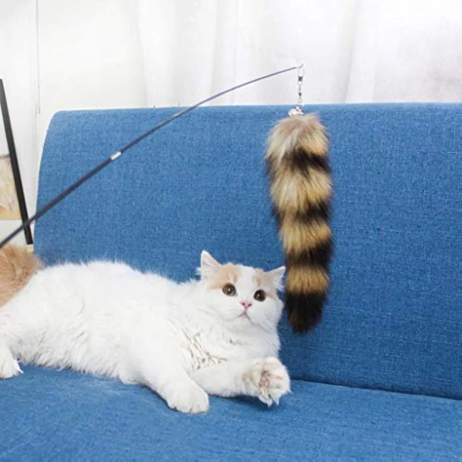 Black cat toy wand with feather teaser on 42cm elastic string for interactive play