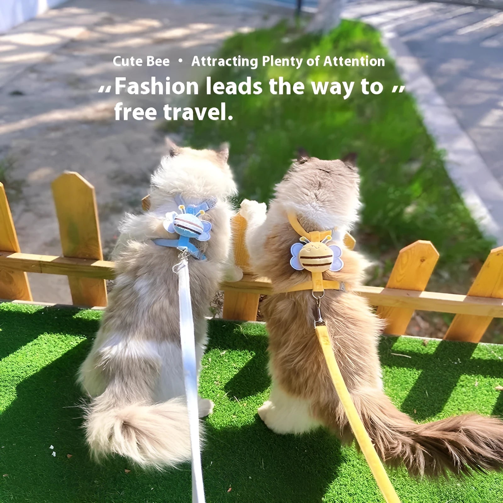 Bee-shaped adjustable cat lead and harness set in blue, pink, or yellow.