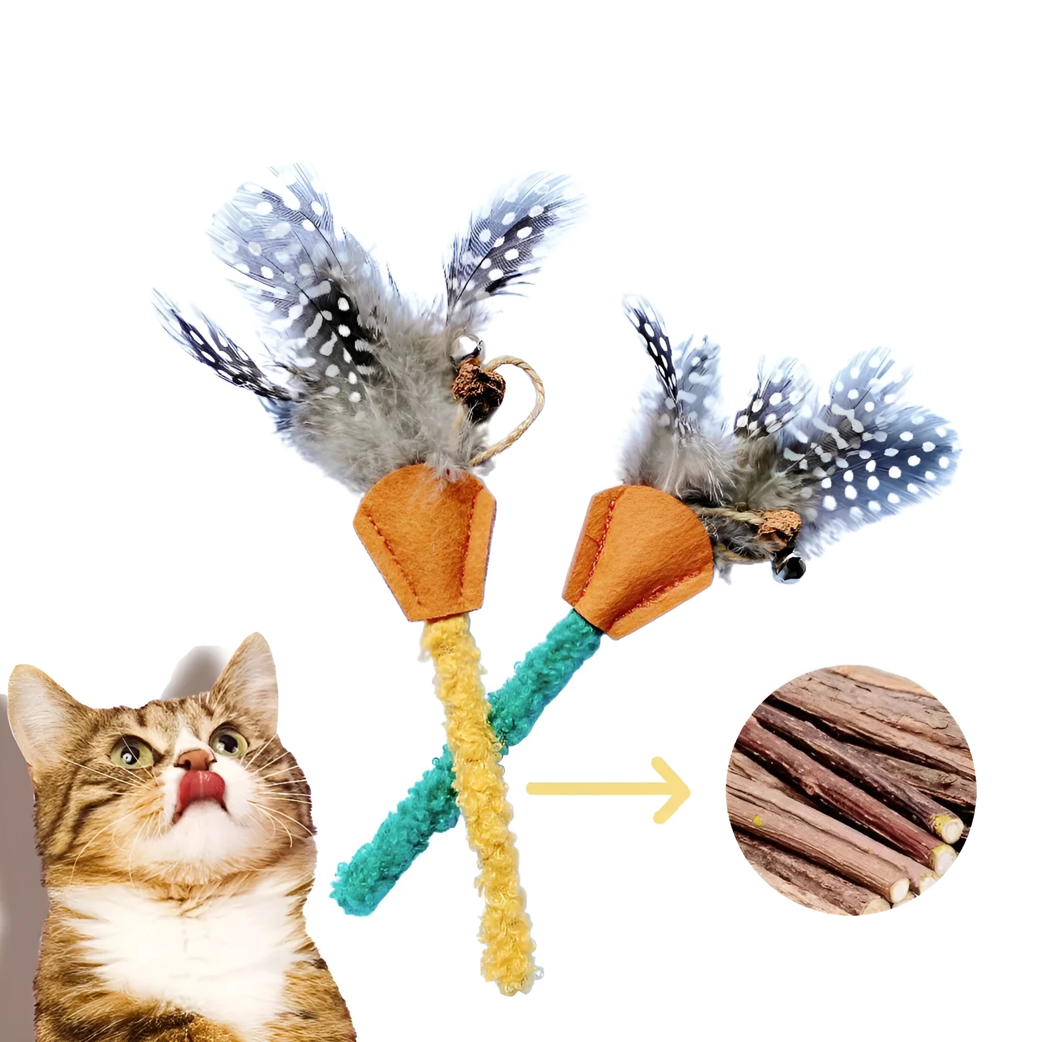 Two polygonum wood cat molar sticks with gall fruit, one green and one yellow, on a neutral background
