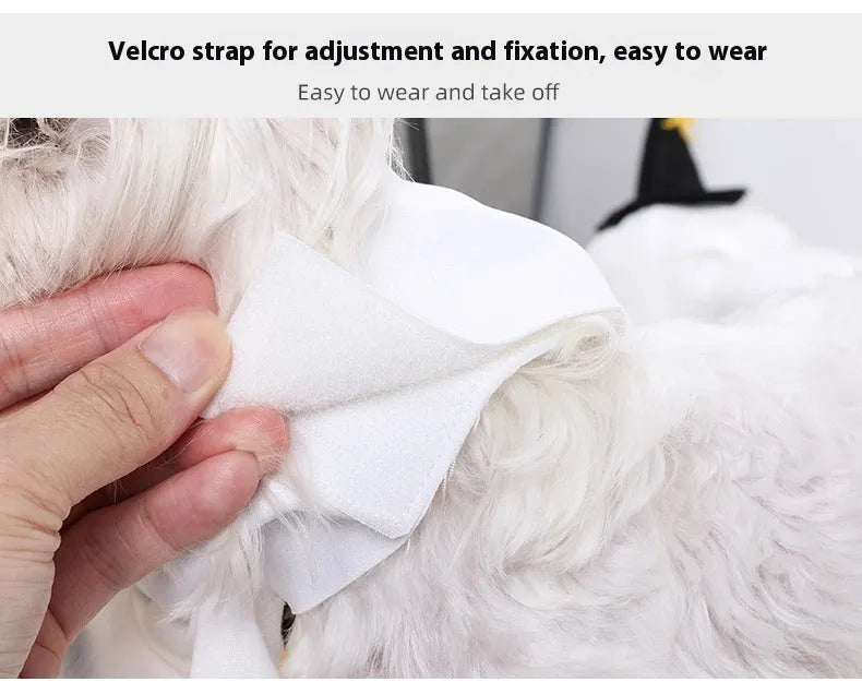 White viscose fibre dog suit with pumpkin ghost Halloween print on a pet model