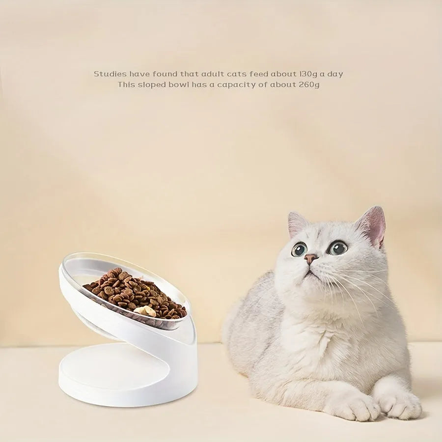 Clear plastic elevated cat food bowl with 15-degree tilt angle on white background