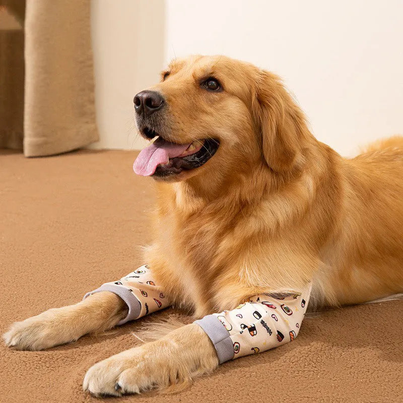 Blue dog knee protector wrap with thick elbow pad and matching scarf on a medium large dog