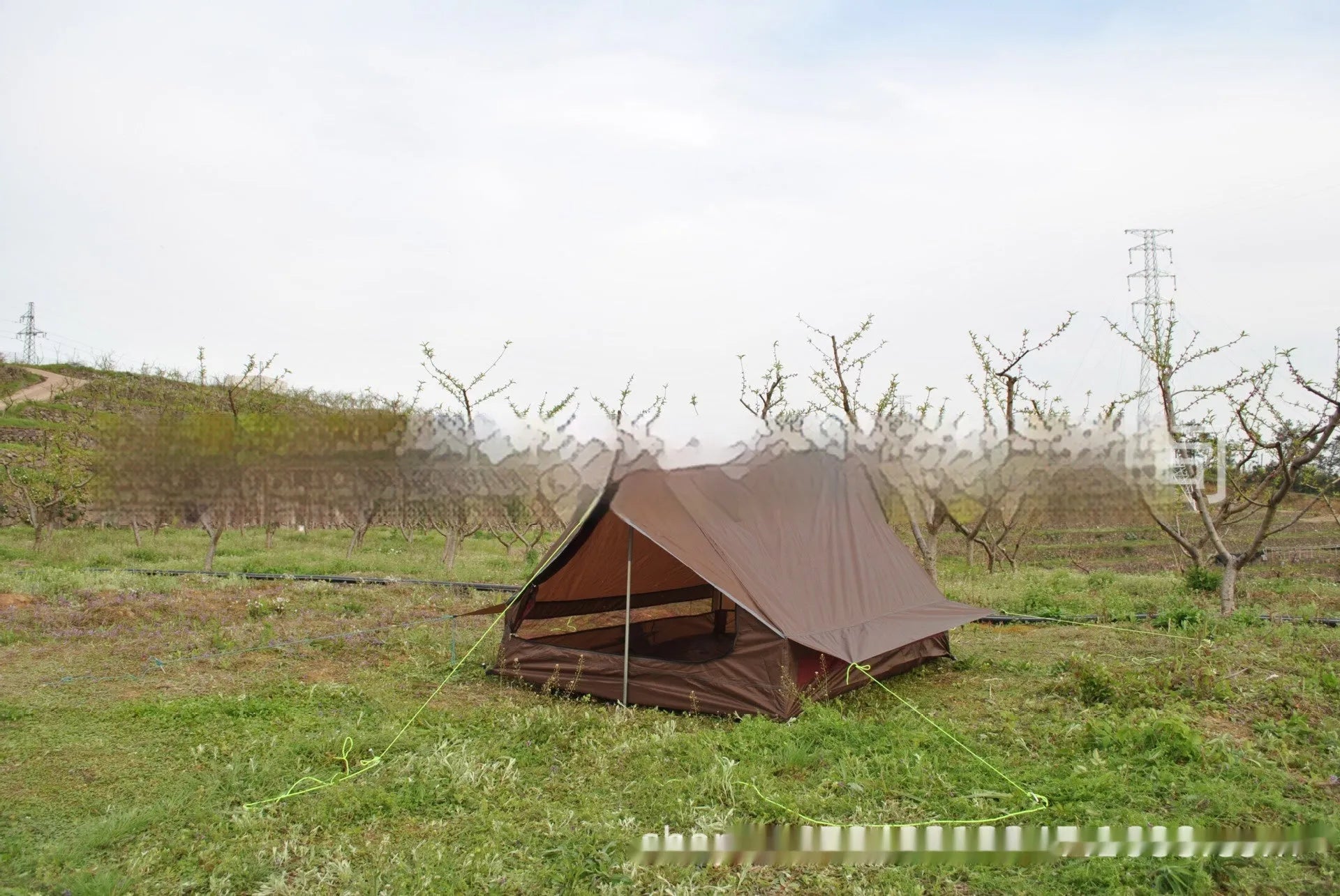 Brown A-line hiking tent set up with trekking poles in a forest clearing.