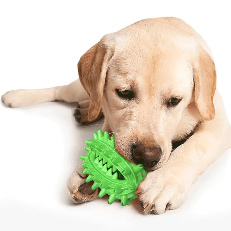 Green cactus-shaped dog chew toy for dental cleaning and aggressive chewers on a white background.