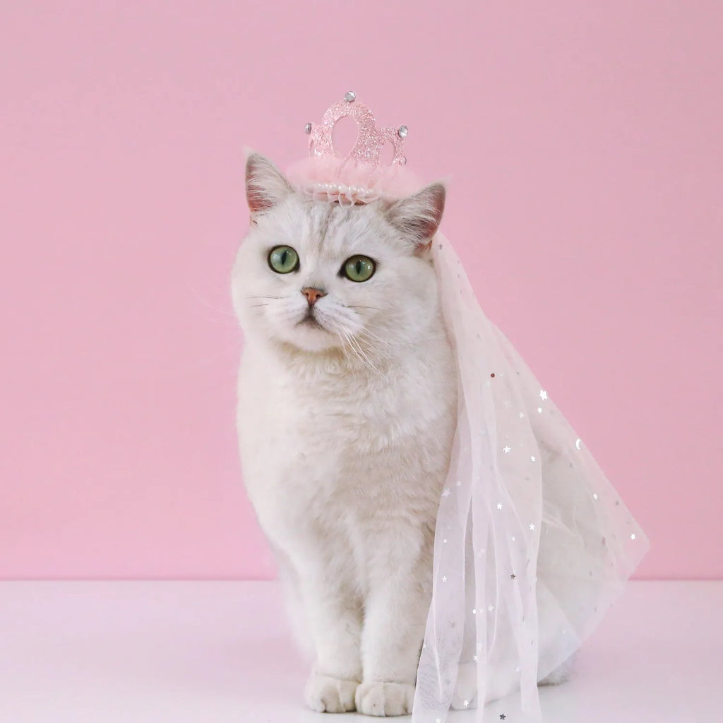 Pet cat wearing princess crown headdress with layered veil in beige or pink colour option