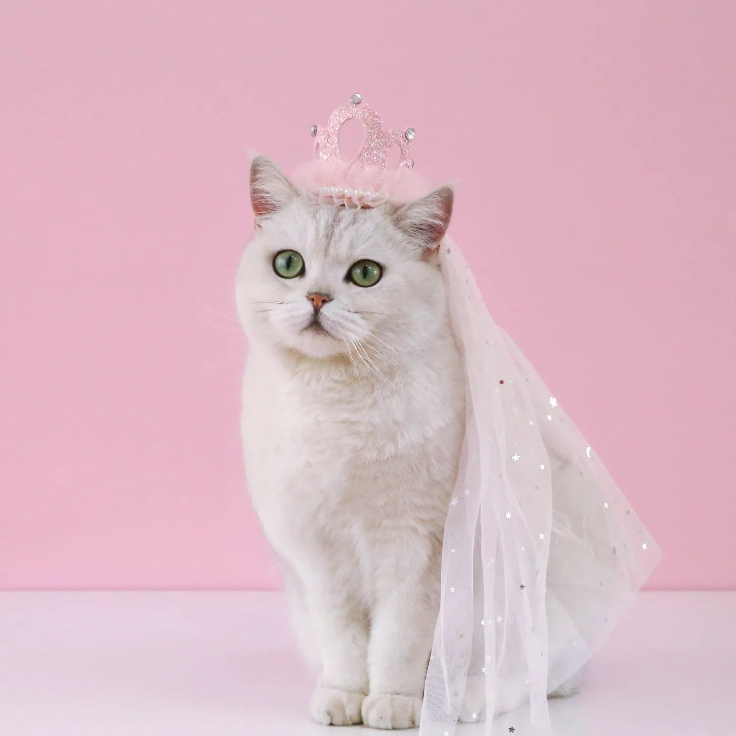 Pet cat wearing princess crown headdress with layered veil in beige or pink colour option