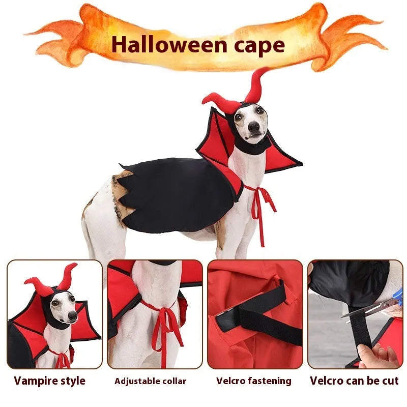 Black vampire cloak and hat costume set on a dog or cat for Halloween.