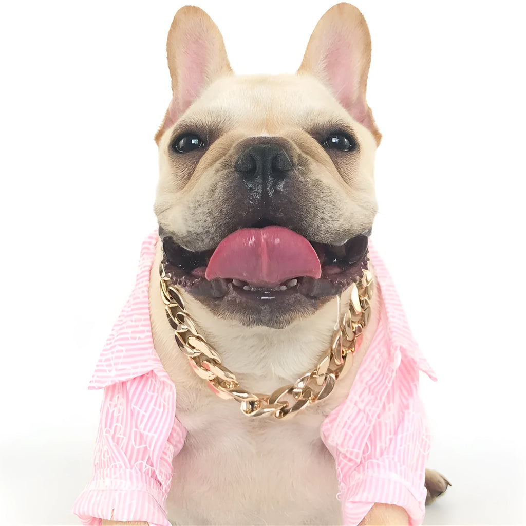 Adjustable geometric chain dog collar in gold or white for small to medium dogs.