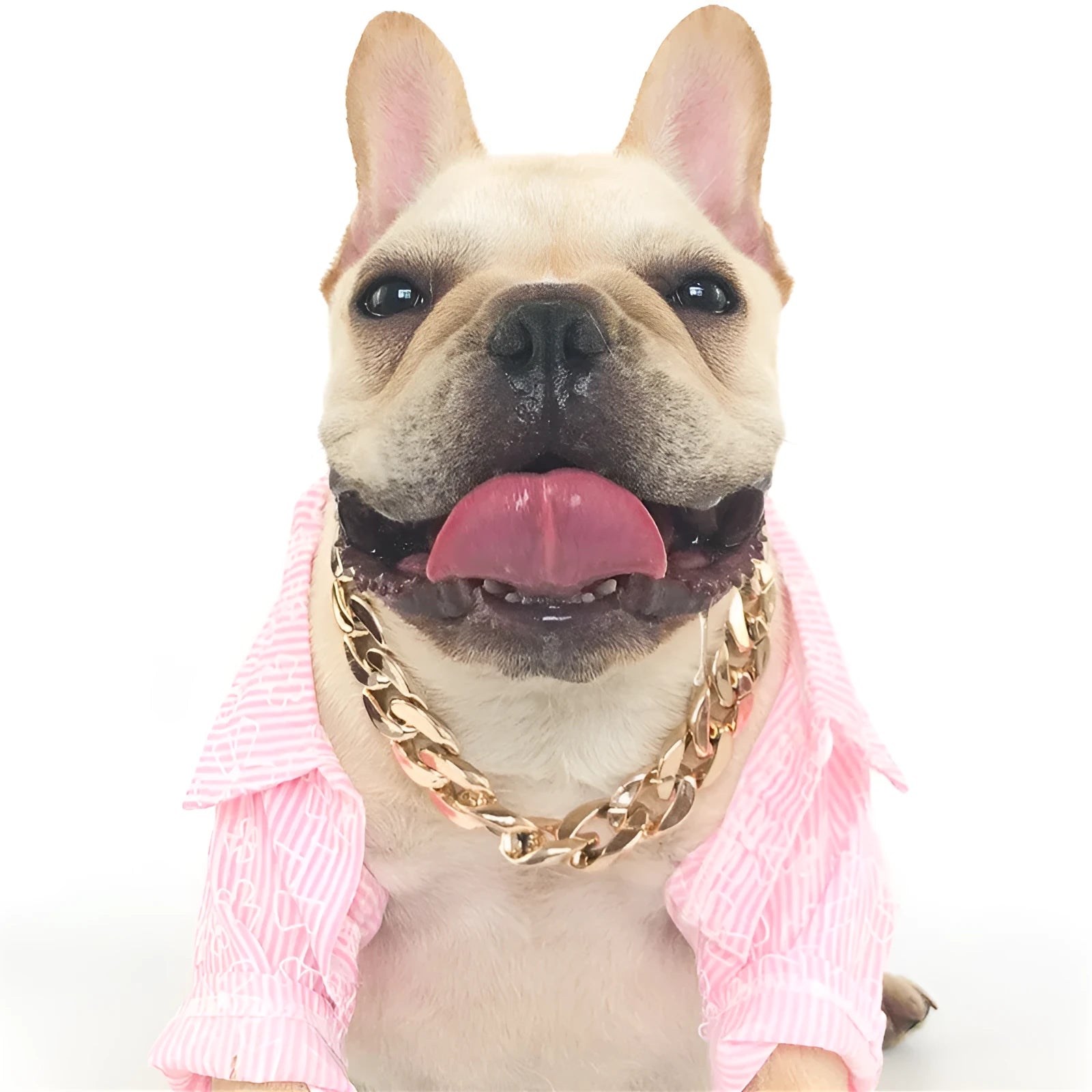 Adjustable geometric chain dog collar in gold or white for small to medium dogs.