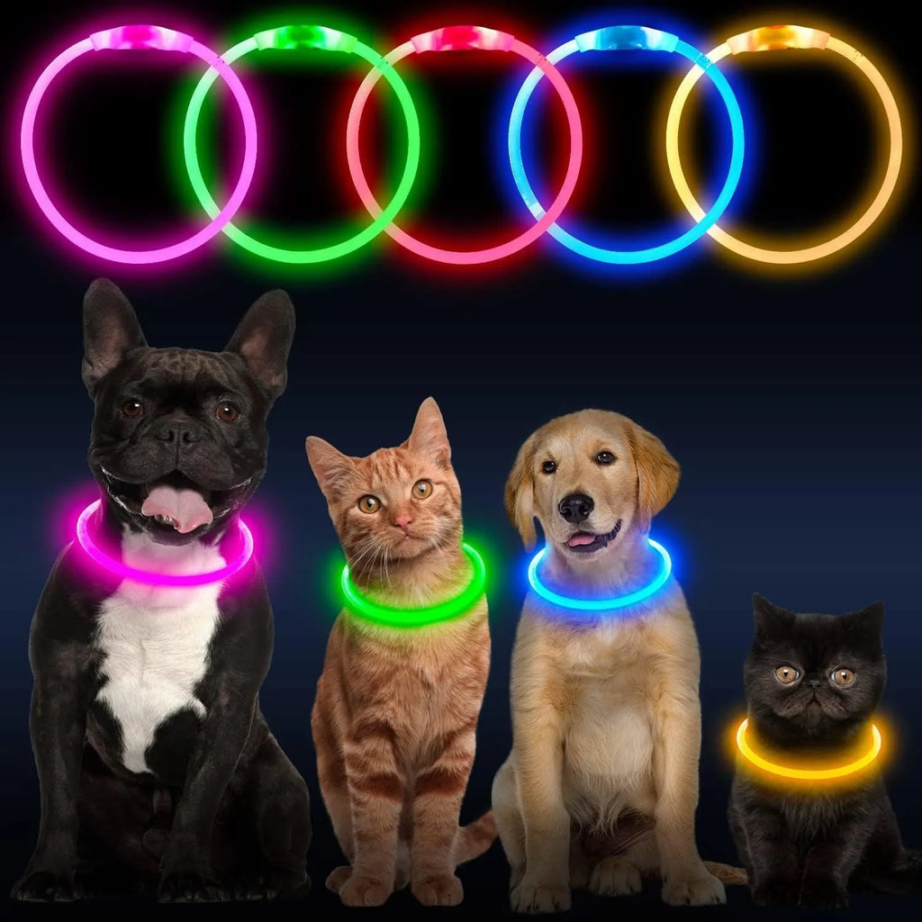 Blue USB rechargeable LED dog collar glowing with 360-degree visibility for nighttime pet safety