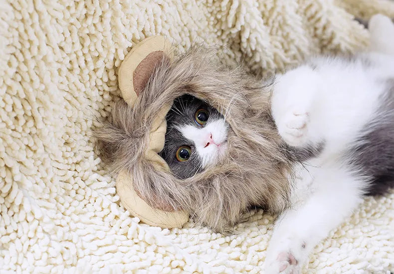 Non-woven lion headgear cat hat in yellow, front view, on a light background