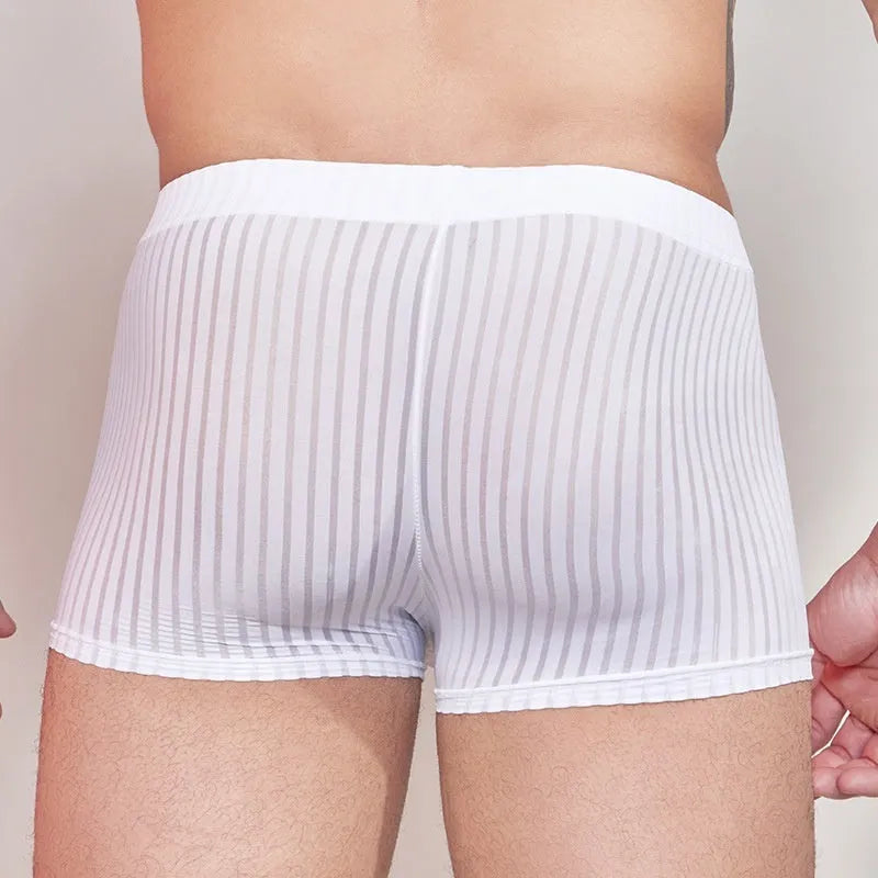 Men's striped underwear in transparent nylon fabric, shown in black, dark grey, and white colours