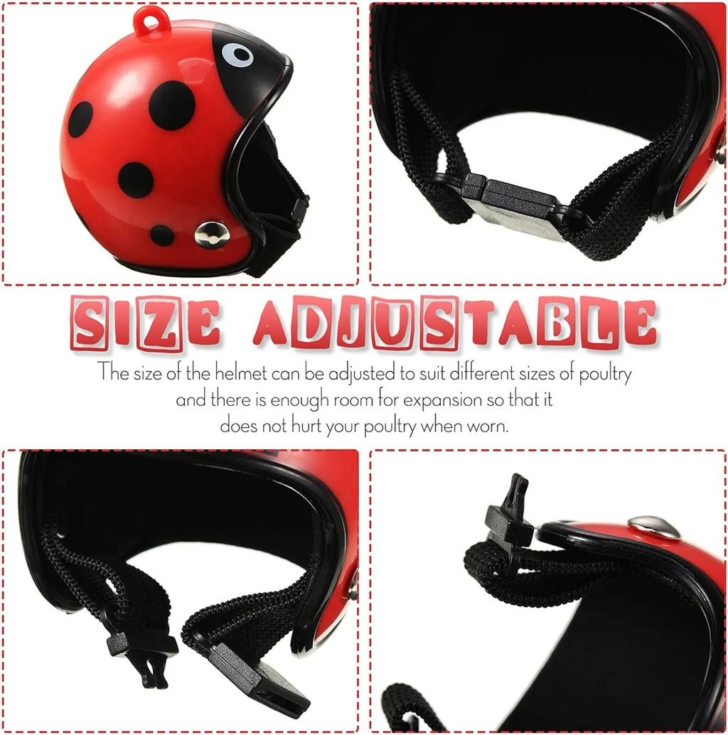 Small pet helmet for chicken and bird protection with adjustable elastic bands
