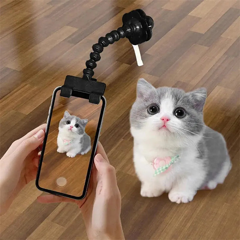 Pet photography tool with black plastic phone clip and snack holder for dog selfies