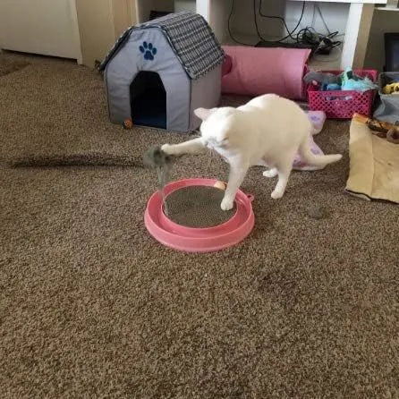 Interactive cat scratcher toy with ball track and replaceable cardboard scratch pad in blue colour