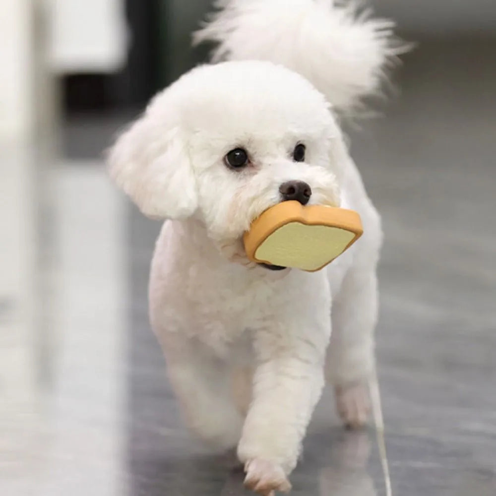 Cute cartoon pattern latex dog toy in egg bread shape, bite resistant squeaky chew toy for puppies, yellow and green