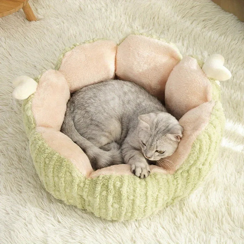 Cactus-shaped cat litter kennel in purple or green, shown in large and small sizes with foldable design