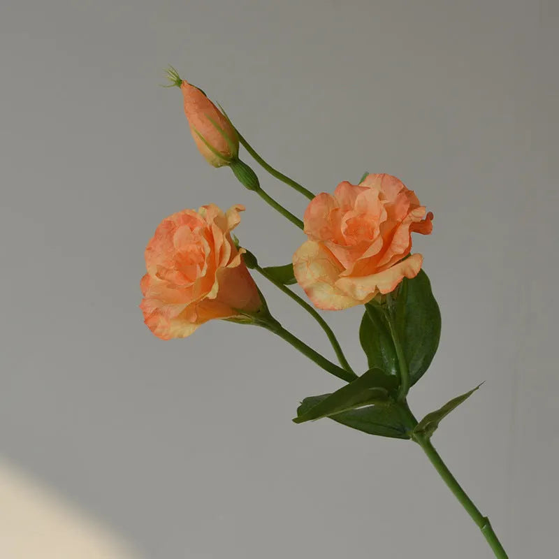 Artificial silk eustoma flower with three heads beige wedding home decoration