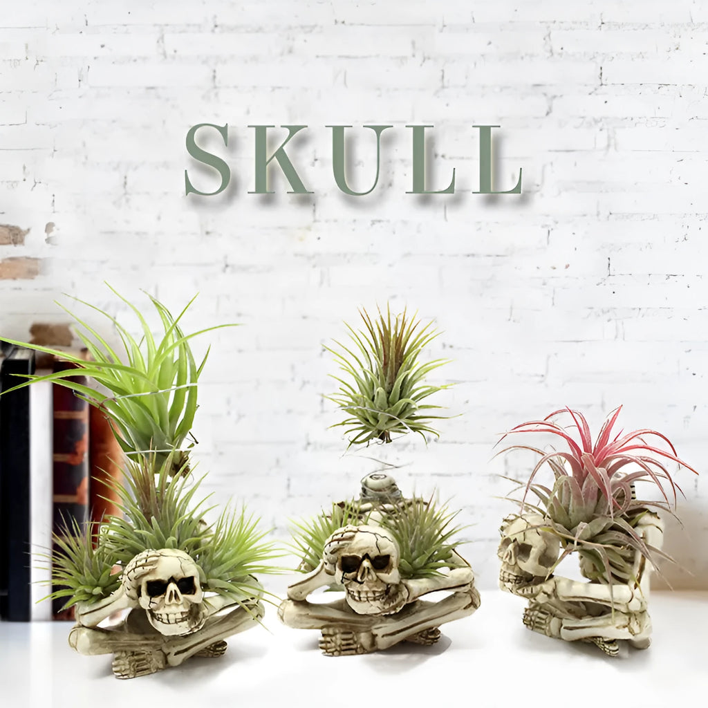 Resin gothic skull planter bracket for tillandsia air plants with three components
