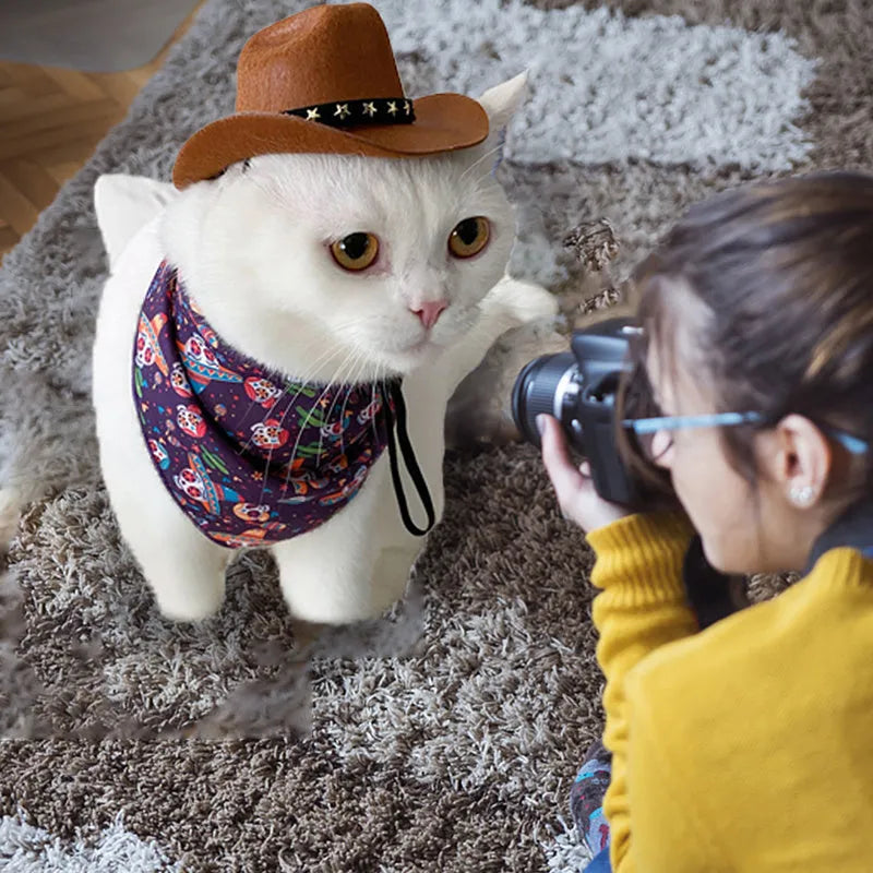 Cat wearing a black star cowboy hat made of soft non-woven fabric, standing outdoors