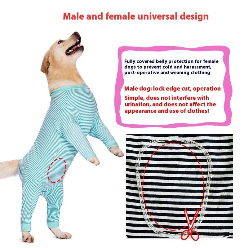 Thin striped polyester dog shirt in sky blue or brown for Golden Retriever