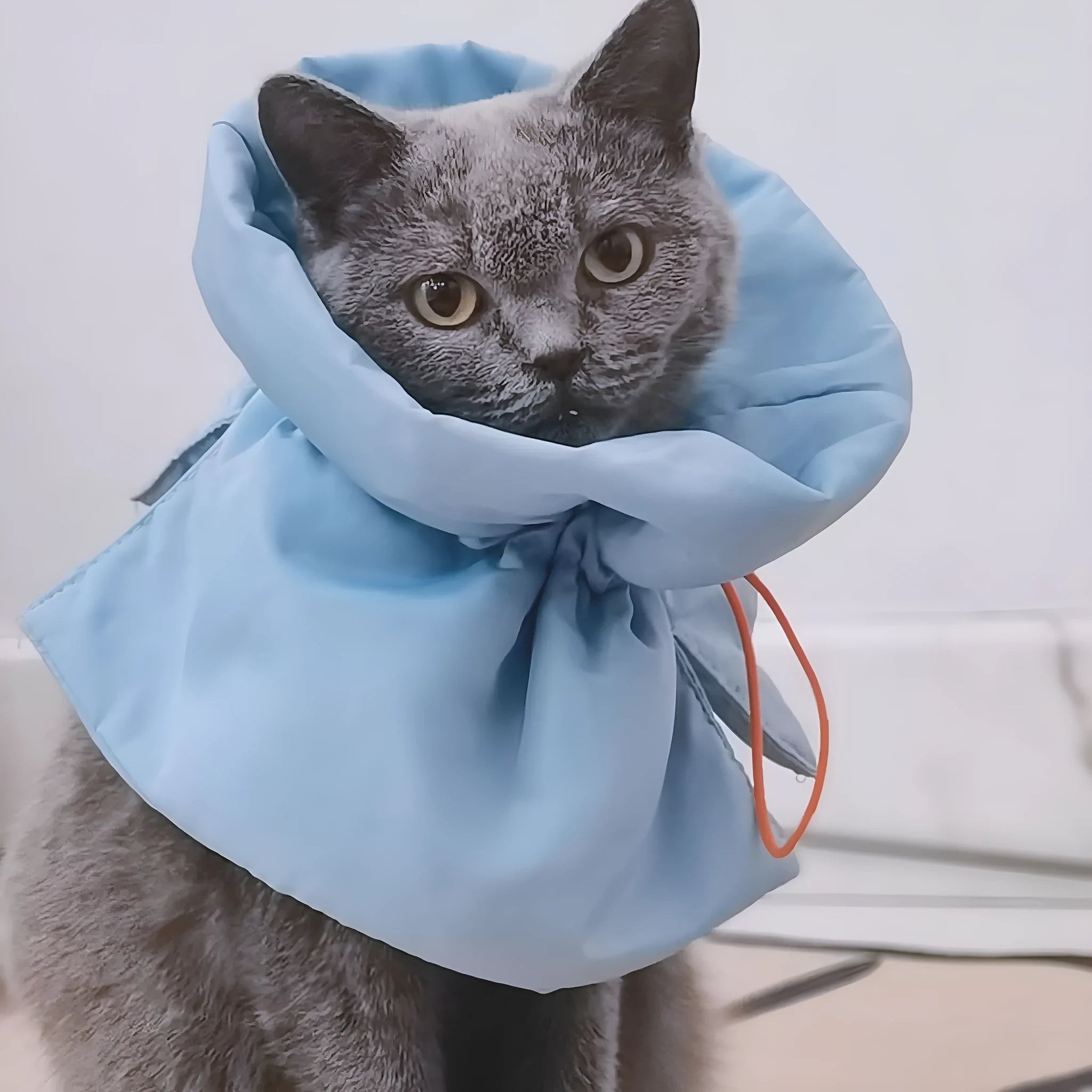 Soft adjustable polyester cat recovery collar in light blue, with elastic buckle, for small and medium cats