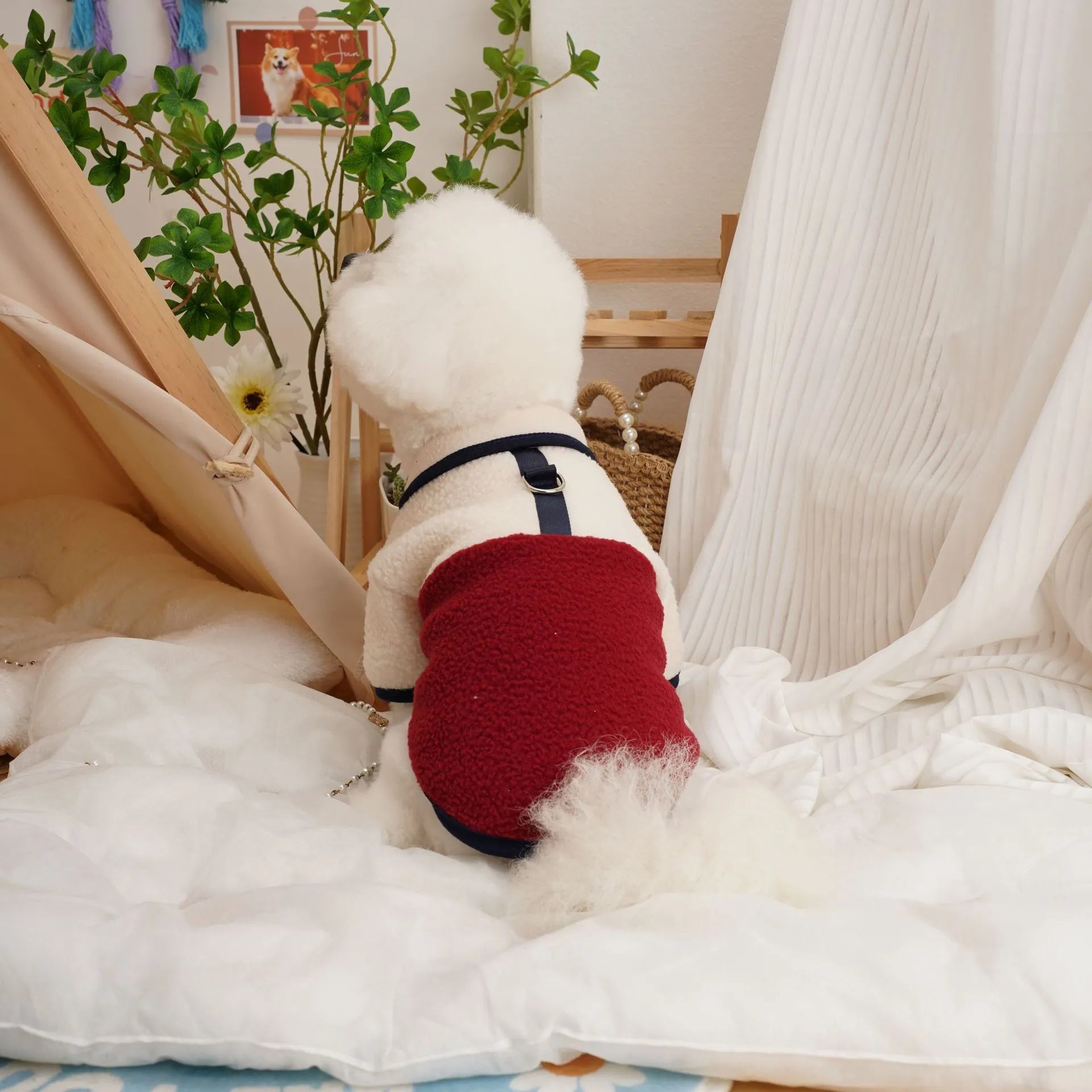 Pet autumn winter Berber fleece thickened sweatshirt in caramel colour on a small dog, side view