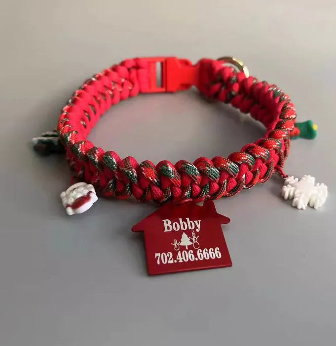 Hand holding rope P chain dog leash with green zinc alloy release buckle on a medium-sized dog