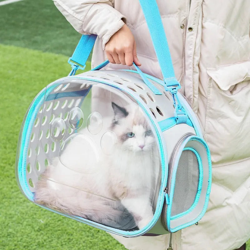 Transparent hard-shell cat backpack carrier in large size, shown in lake blue colour