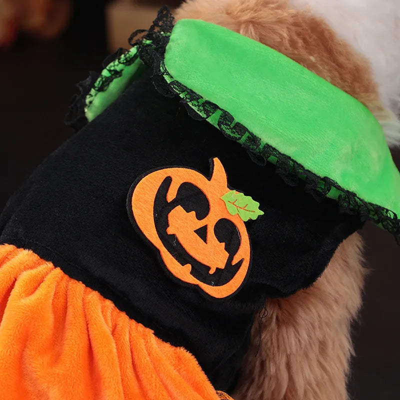 Halloween pumpkin skirt pet costume in crystal velvet for small dogs and cats