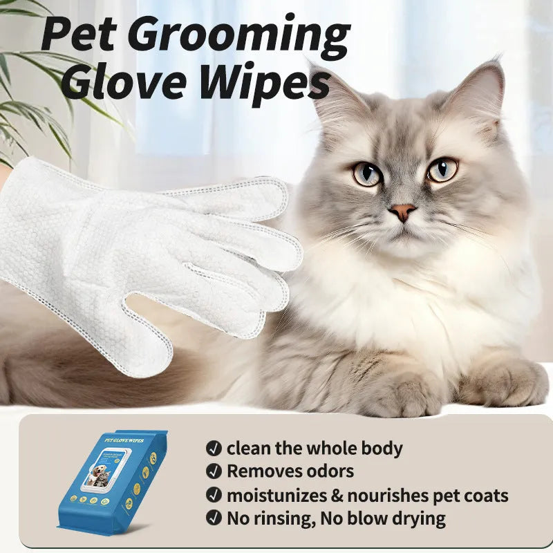 Pack of disposable wash-free gloves for cat bath and grooming