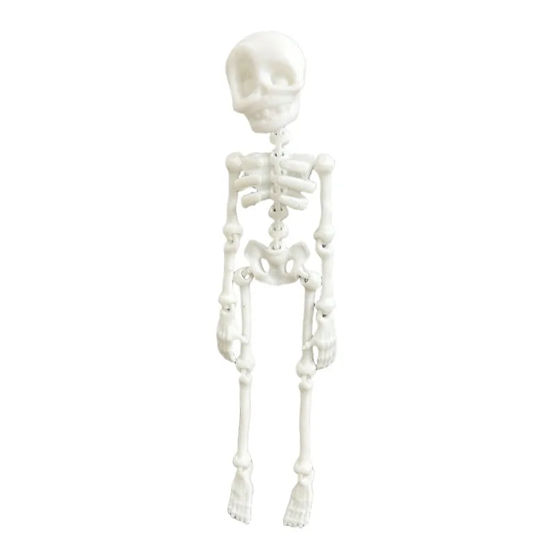 3D printed PLA skull refrigerator magnet ornament in multiple colour options measuring 18cm high