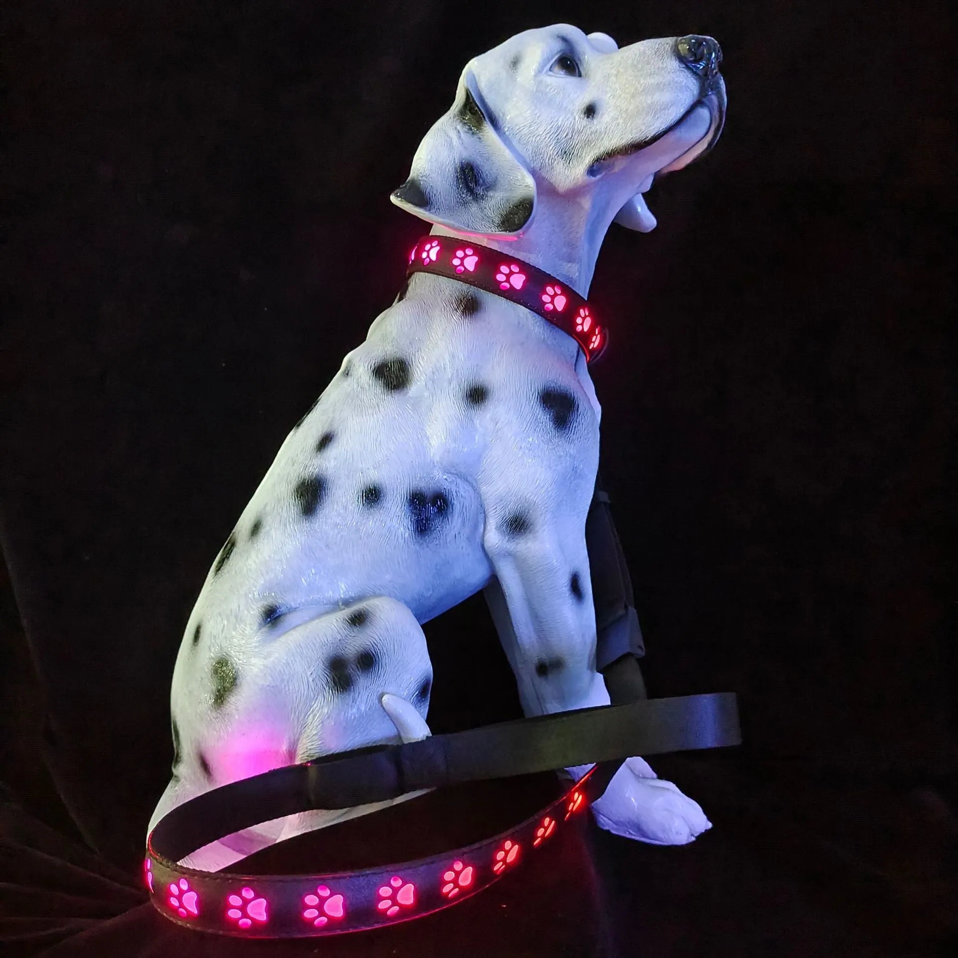 LED luminous pet collar with paw printing showing seven colour options on adjustable polyester band